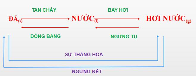 Sấy thăng hoa chân không