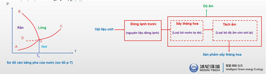 Sấy thăng hoa chân không